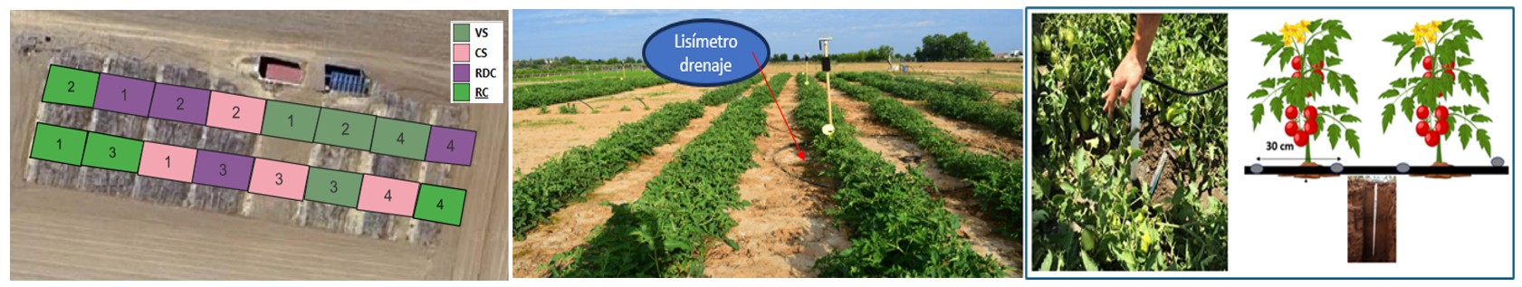 Digispac%20figura%2012